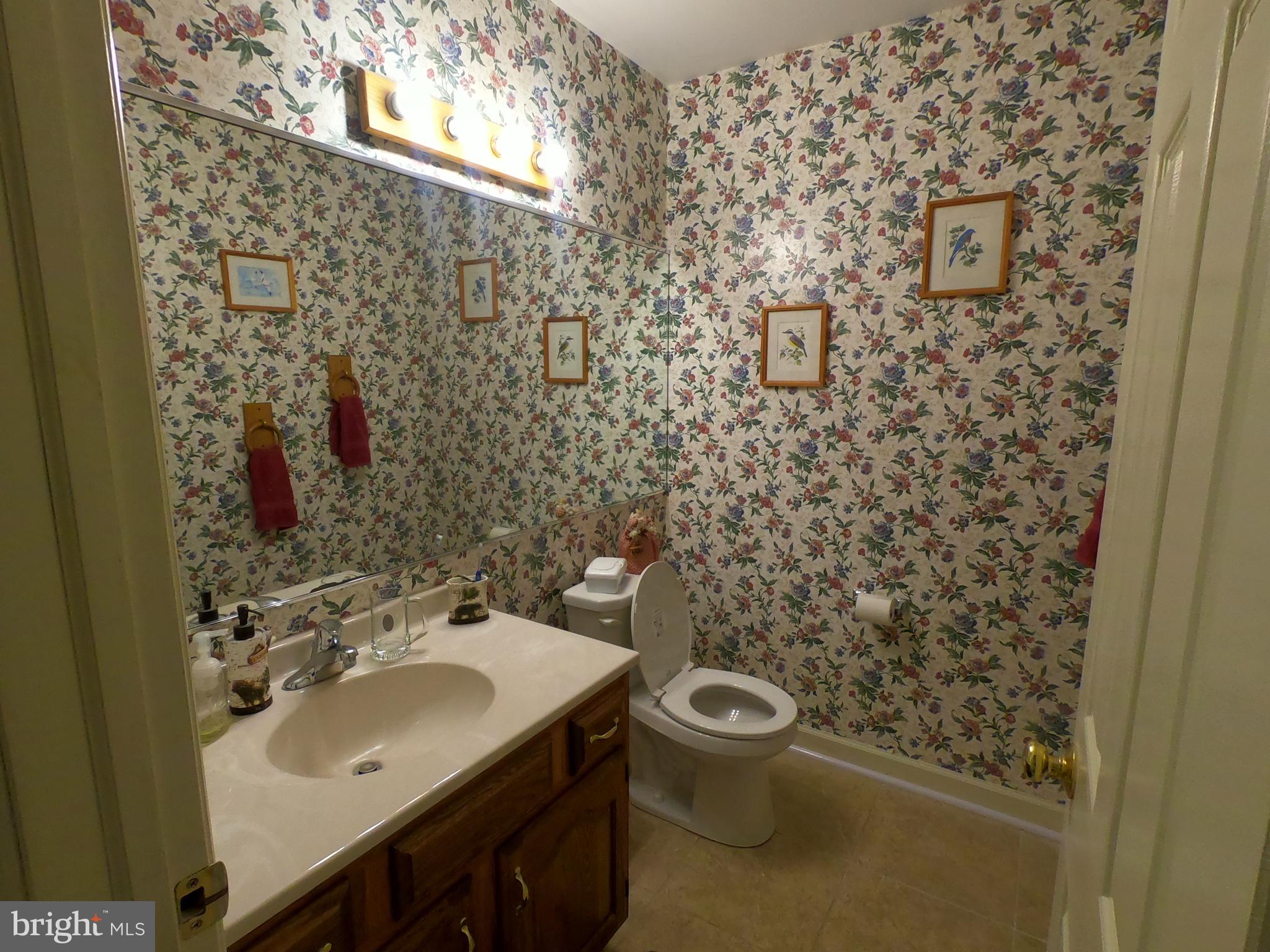 124 Grande Boulevard Sinking Spring, PA 19608 - Photo 8 of 44 Powder room