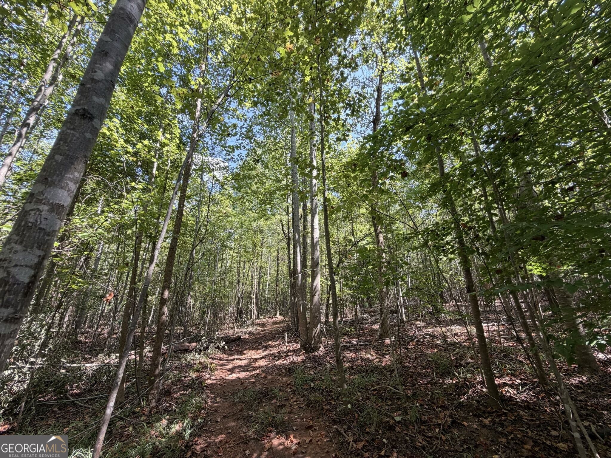 11 Bunch Road Tignall, GA 30668 - Photo 43 of 81 Gallery Image 43