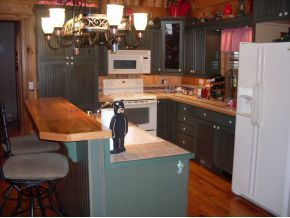151 Carson Circle Limestone, TN 37681 - Photo 3 of 12 Photo 3