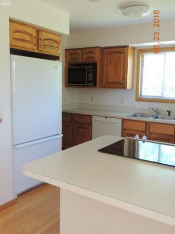 7295 East Lake Road Millington, MI 48746 - Photo 6 of 18 21183937-5.JPG