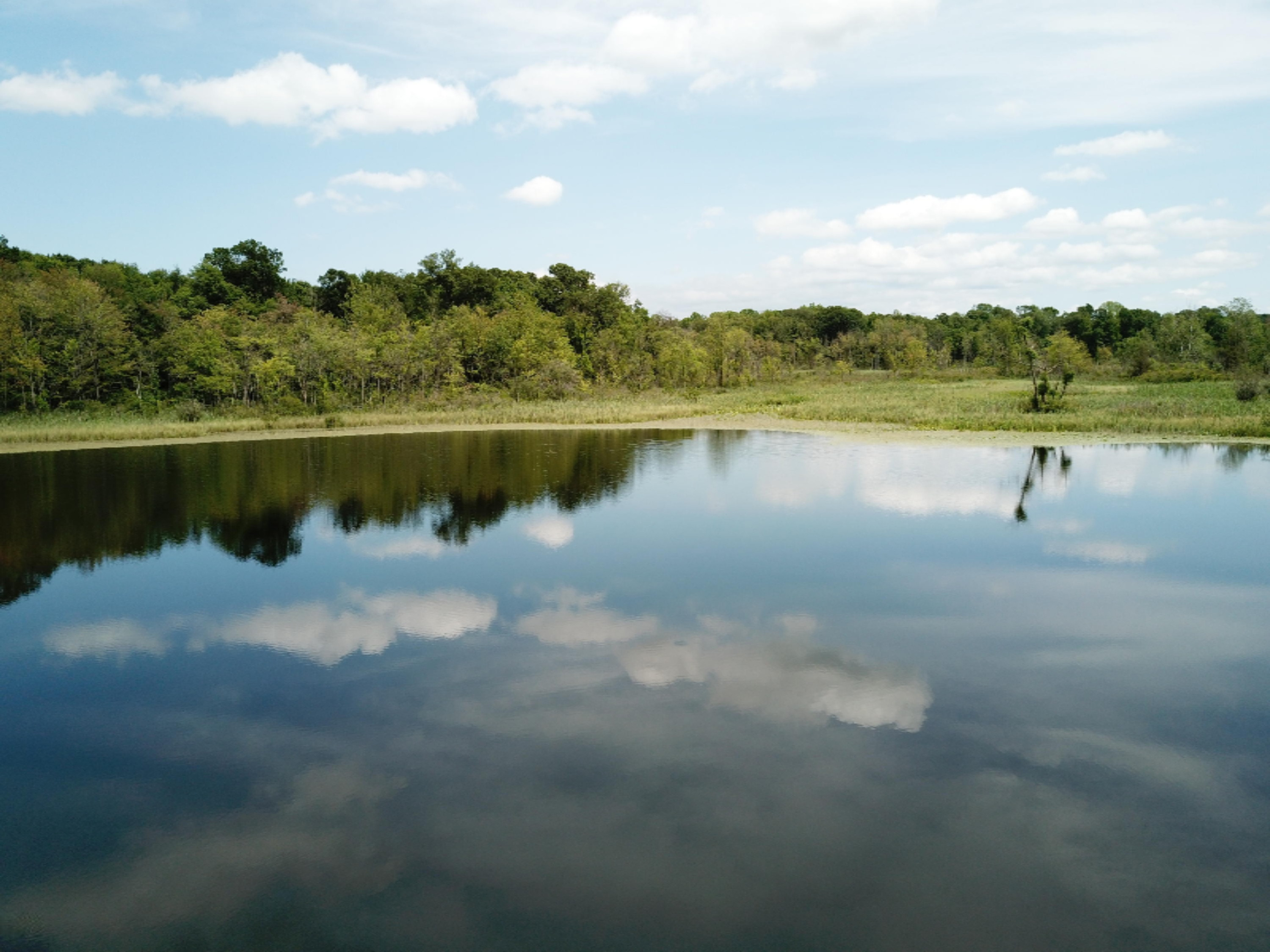 Enzian Road Plainwell, MI 49080 - Photo 1 of 39 DJI_0060
