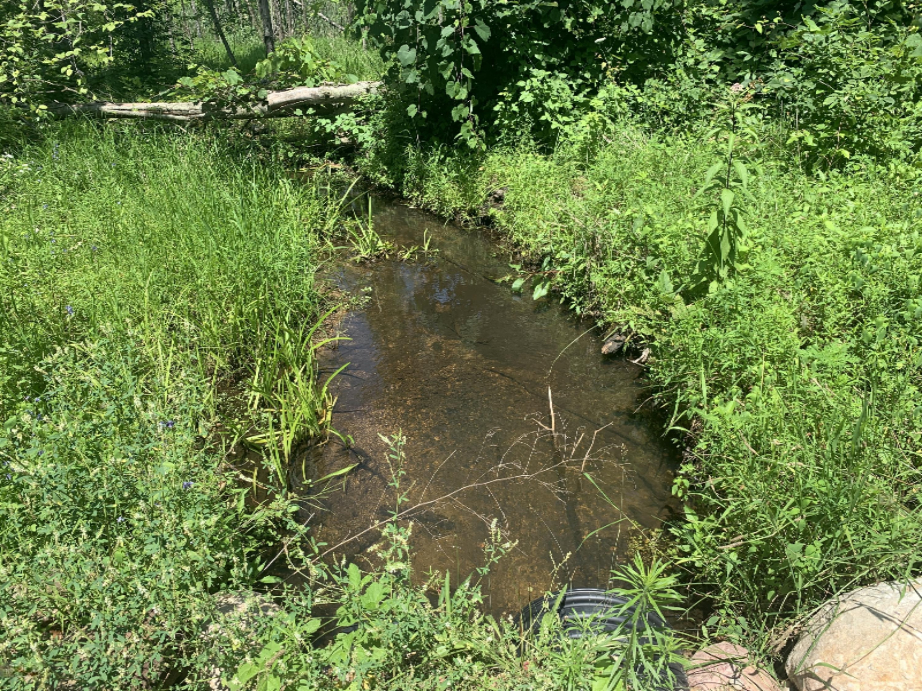 Enzian Road Plainwell, MI 49080 - Photo 11 of 39 IMG_1818