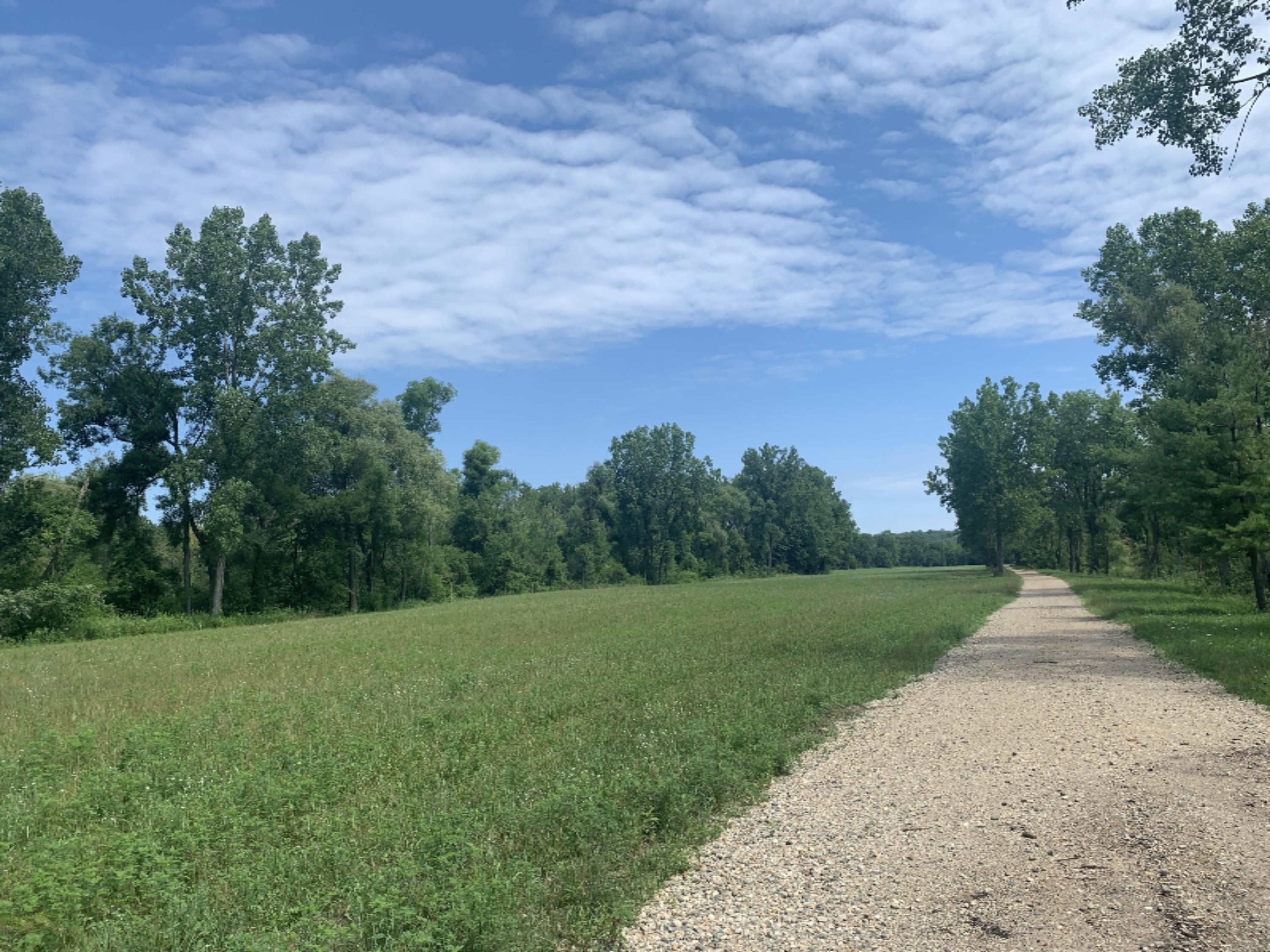 Enzian Road Plainwell, MI 49080 - Photo 13 of 39 IMG_2175