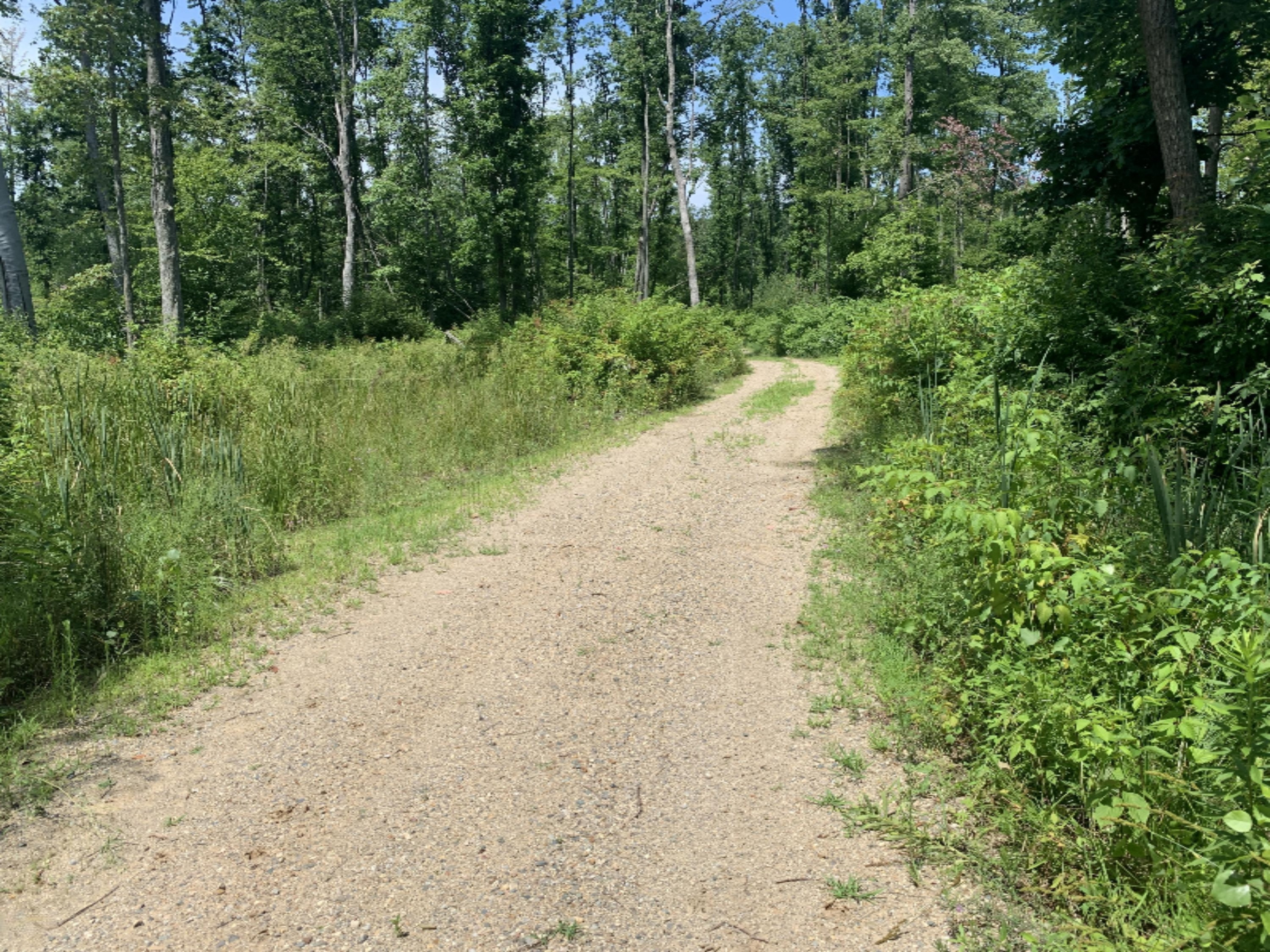 Enzian Road Plainwell, MI 49080 - Photo 21 of 39 IMG_5664