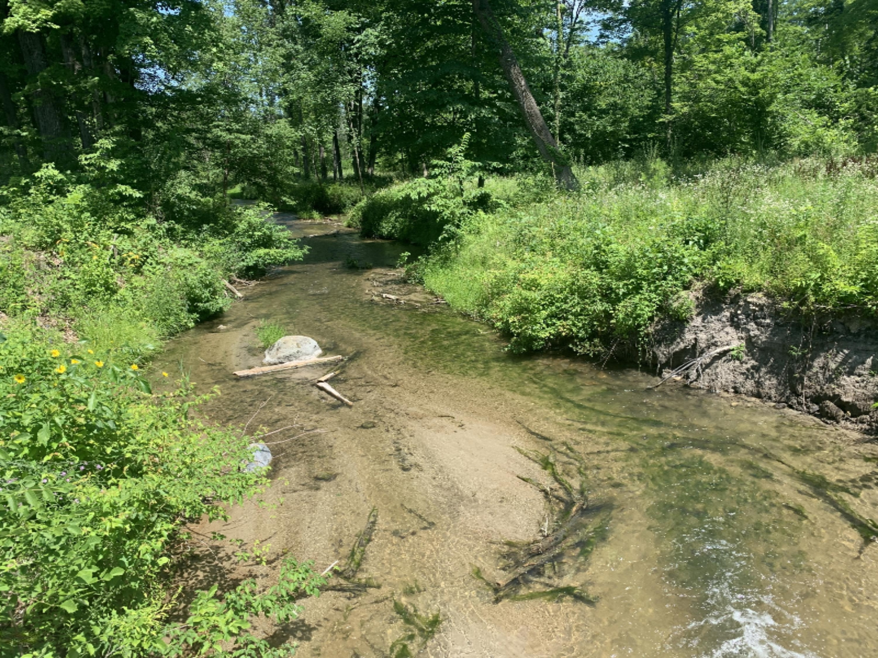 Enzian Road Plainwell, MI 49080 - Photo 22 of 39 IMG_6055