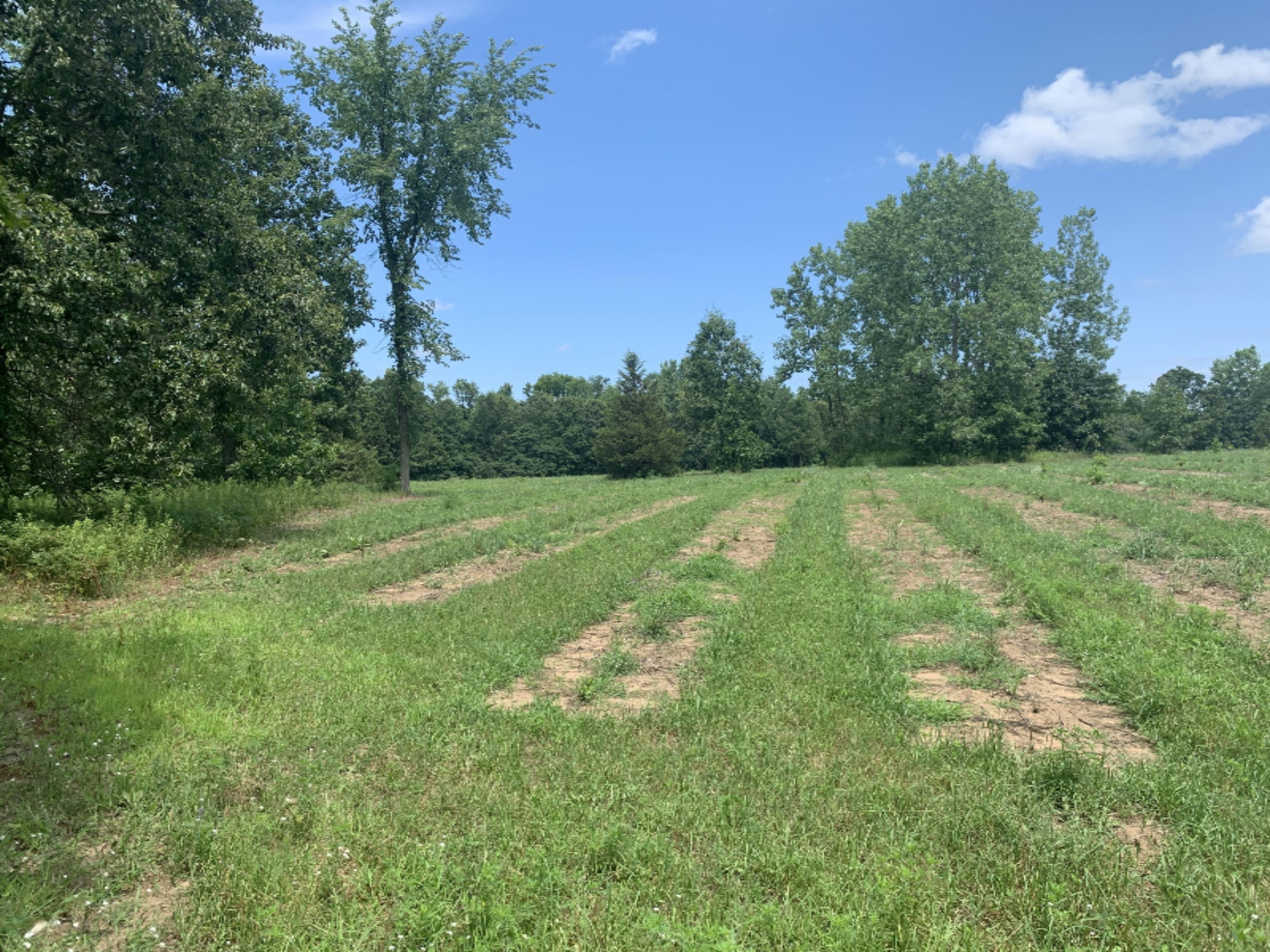 Enzian Road Plainwell, MI 49080 - Photo 23 of 39 IMG_6367