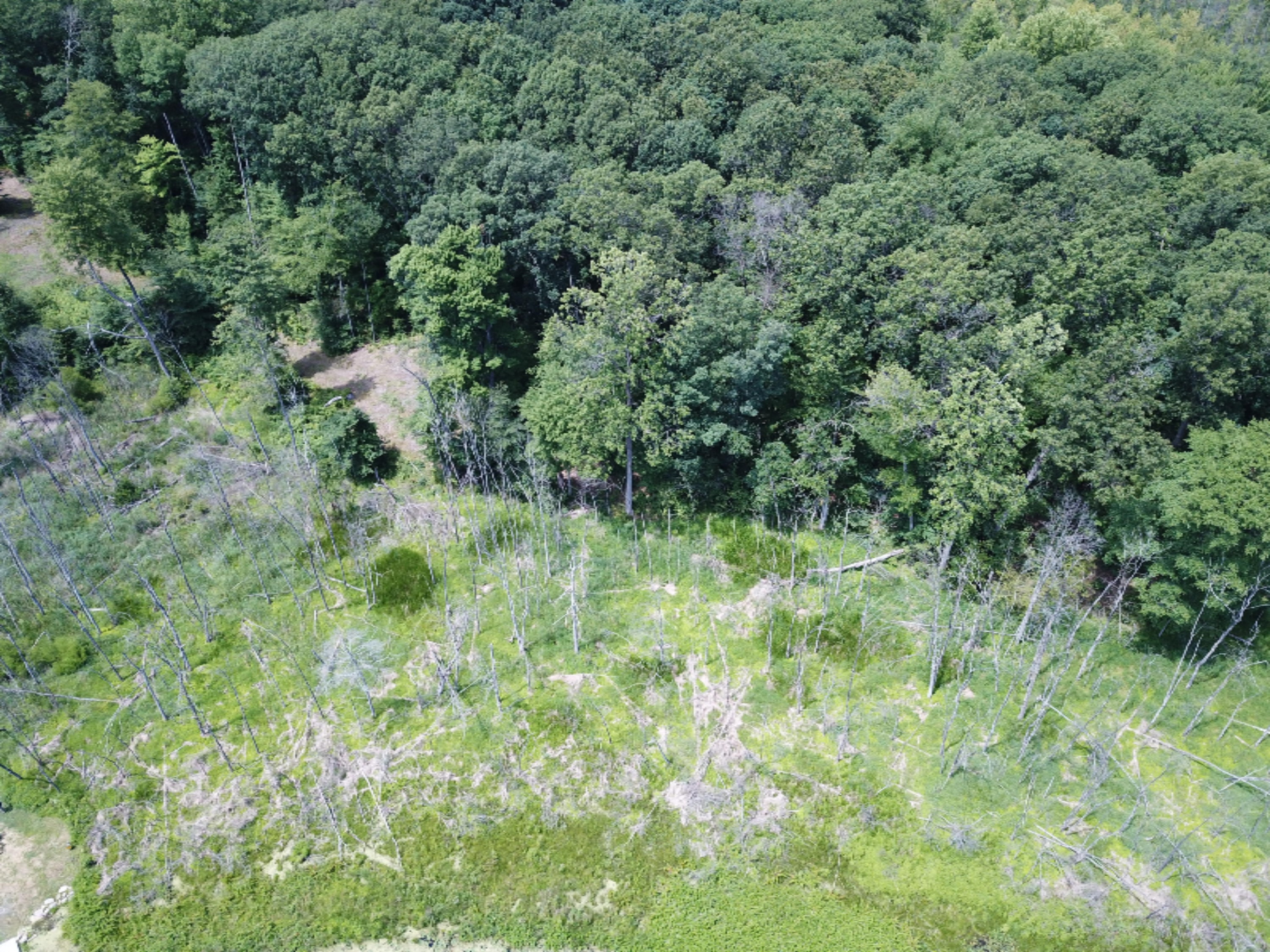 Enzian Road Plainwell, MI 49080 - Photo 3 of 39 DJI_0052