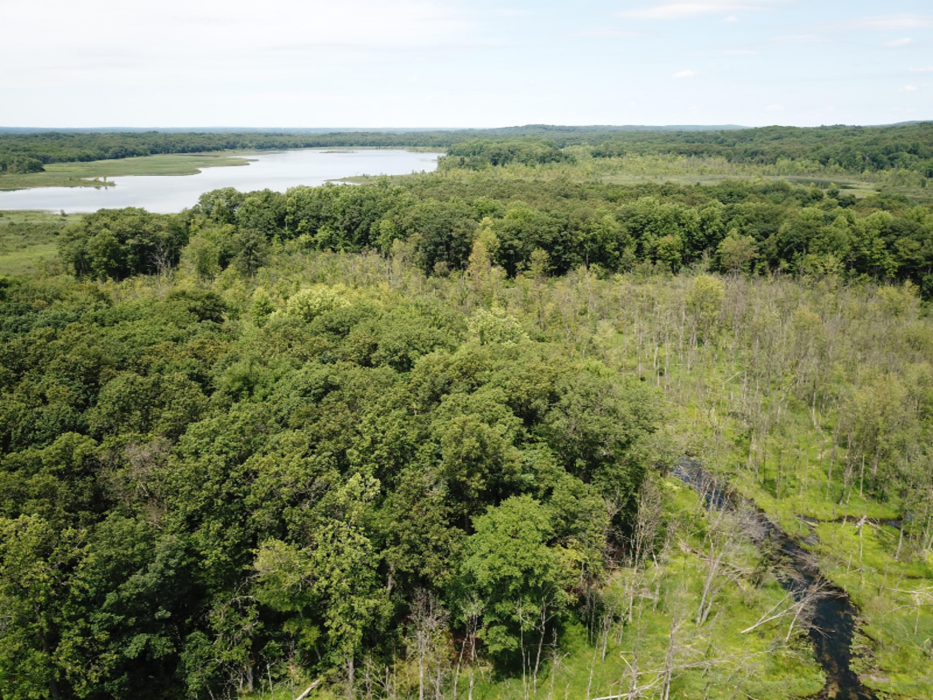 Enzian Road Plainwell, MI 49080 - Photo 4 of 39 DJI_0056