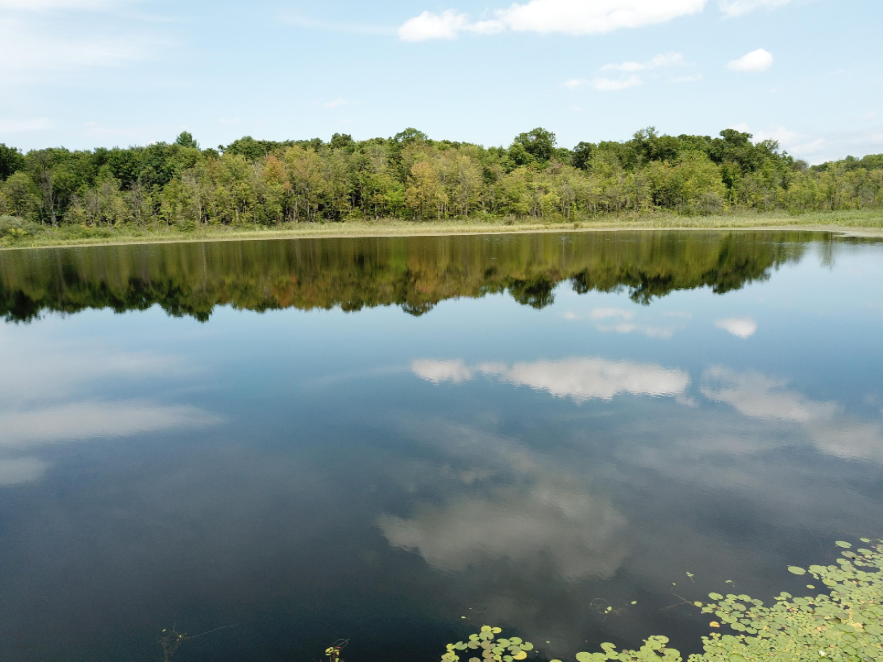 Enzian Road Plainwell, MI 49080 - Photo 5 of 39 DJI_0058