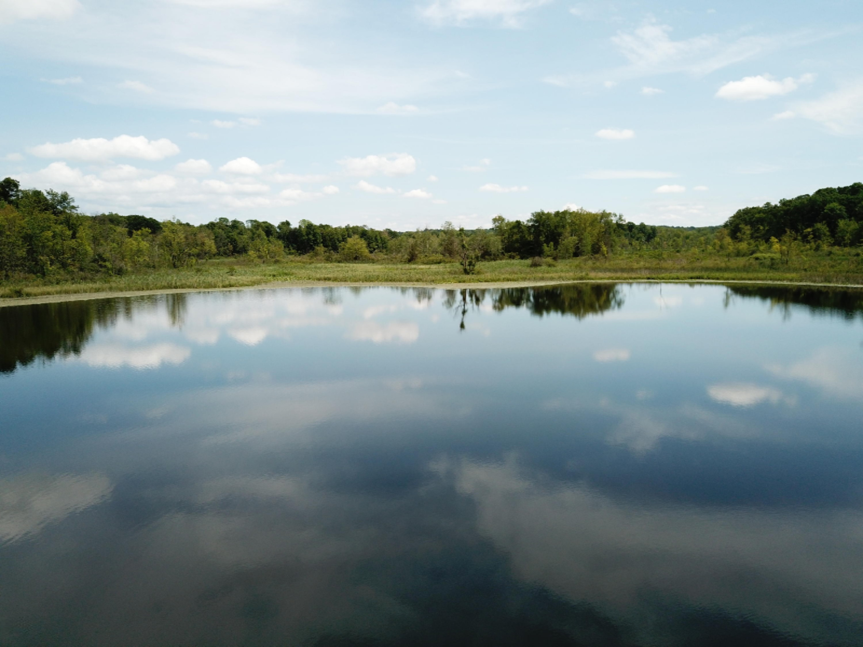 Enzian Road Plainwell, MI 49080 - Photo 6 of 39 DJI_0062