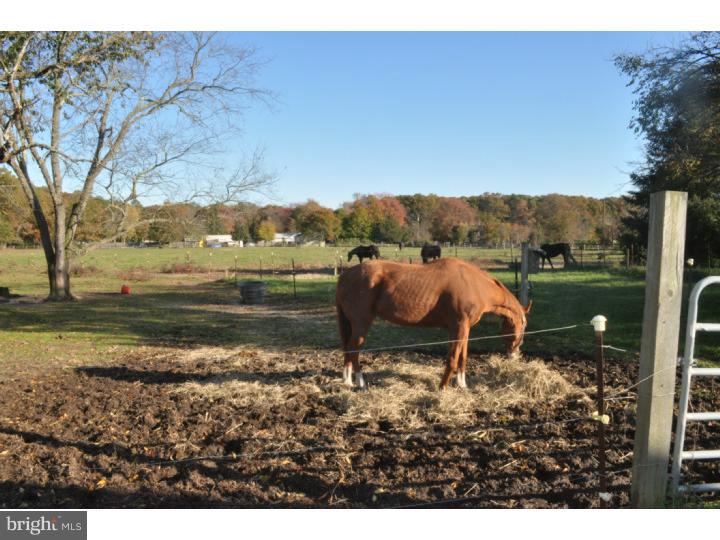 1226 Morgan Road Williamstown, NJ 08094 - Photo 13 of 25 View
