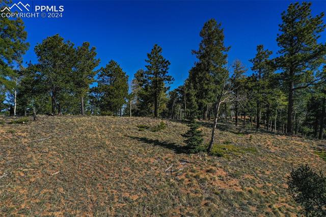 1100 Elk Ridge South Divide, CO 80814 - Photo 29 of 34