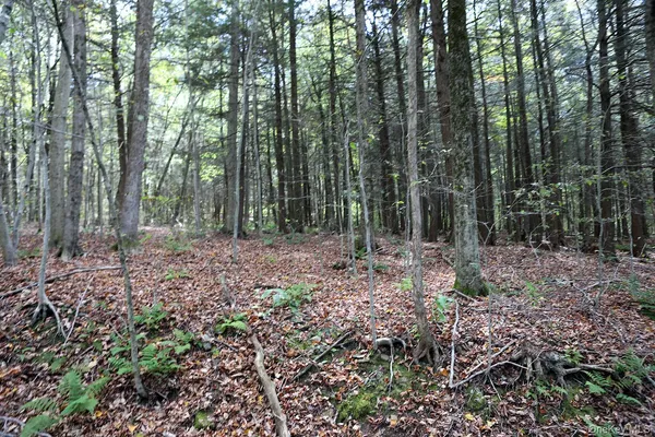 $29,000 | 0 Rt-97, Hancock, NY 13783
