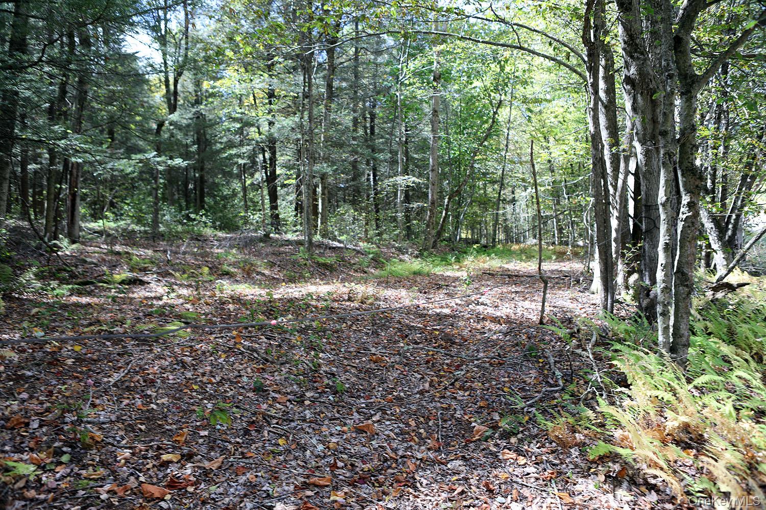 0 Rt-97 Hancock, NY 13783 - Photo 11 of 18 View of woods