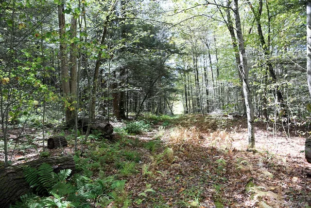 $39,000 | 0 Rt-97, Hancock, NY 13783