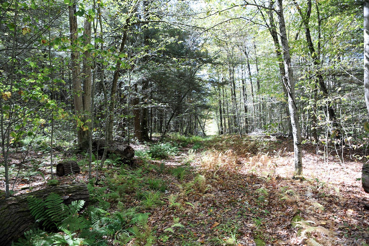 0 Rt-97 Hancock, NY 13783 - Photo 12 of 18 View of woods