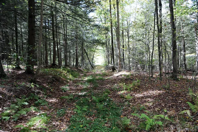 $39,000 | 0 Rt-97, Hancock, NY 13783