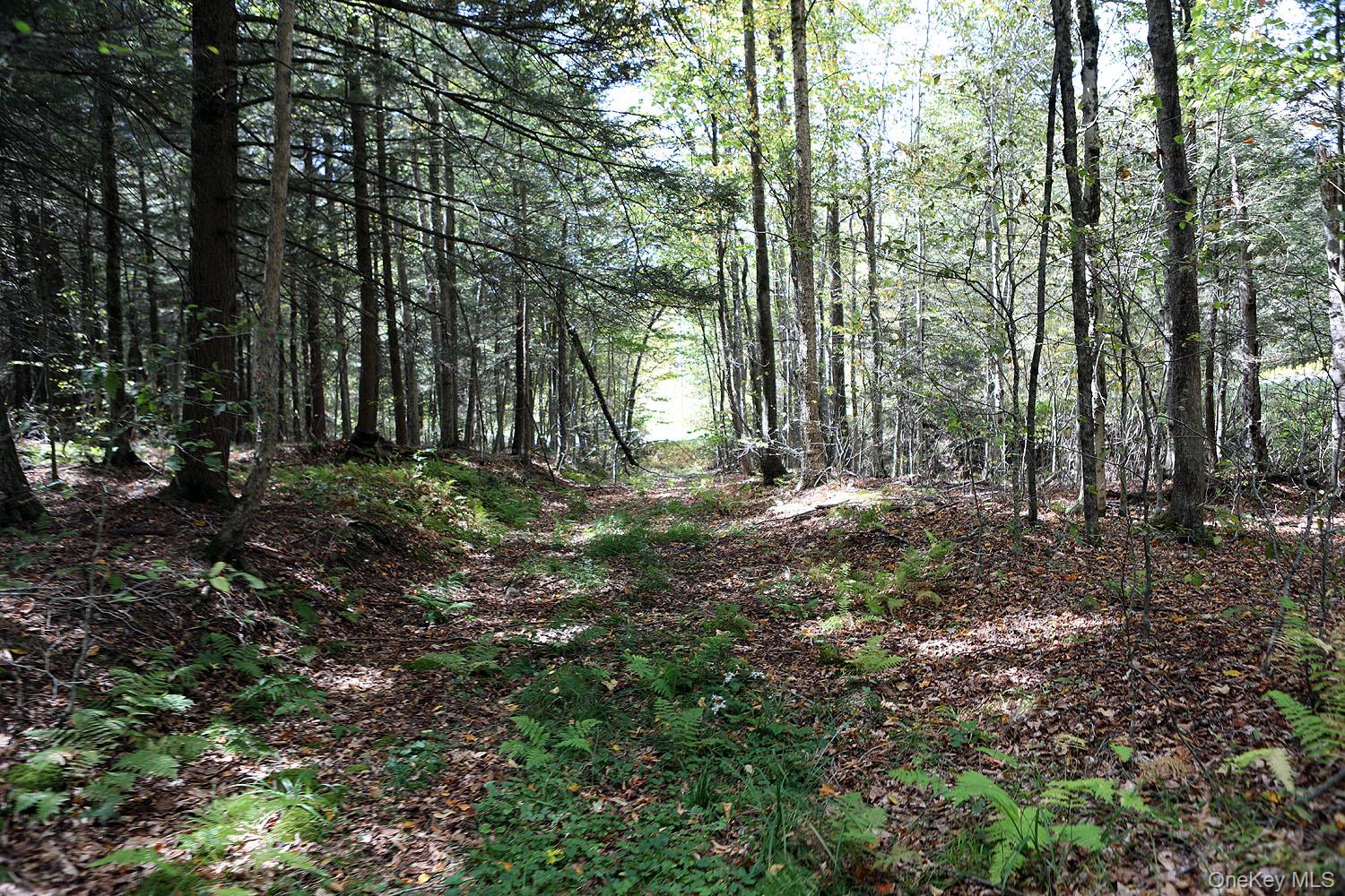 0 Rt-97 Hancock, NY 13783 - Photo 14 of 18 View of woods