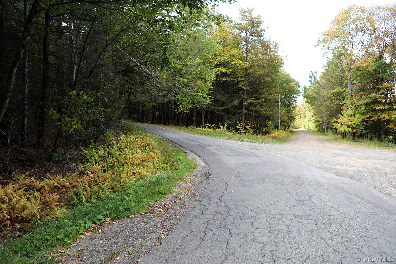 0 Rt-97 Hancock, NY 13783 - Photo 15 of 18 View of asphalt road with a view of trees