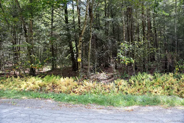 $39,000 | 0 Rt-97, Hancock, NY 13783