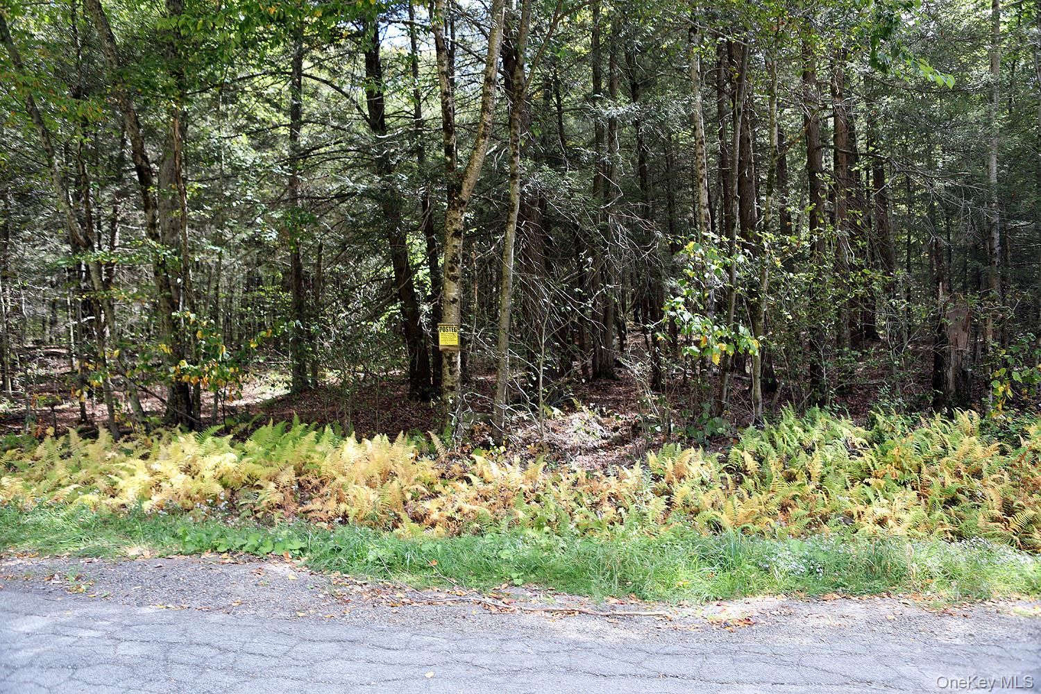 0 Rt-97 Hancock, NY 13783 - Photo 16 of 18 View of nature