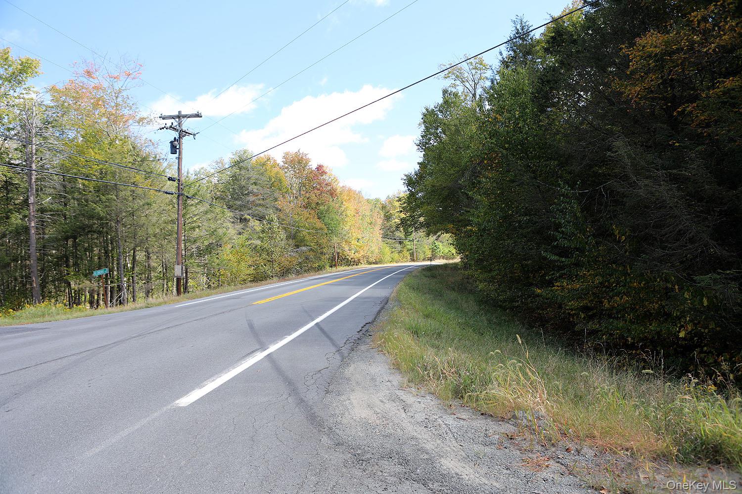 0 Rt-97 Hancock, NY 13783 - Photo 18 of 18 View of asphalt street with a forest view
