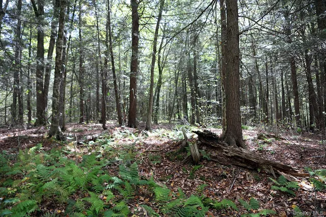 $39,000 | 0 Rt-97, Hancock, NY 13783