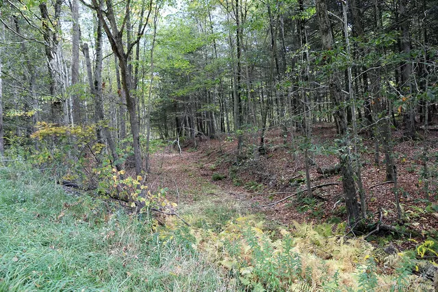 $39,000 | 0 Rt-97, Hancock, NY 13783