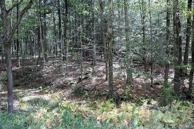 $39,000 | 0 Rt-97, Hancock, NY 13783