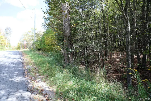 $39,000 | 0 Rt-97, Hancock, NY 13783