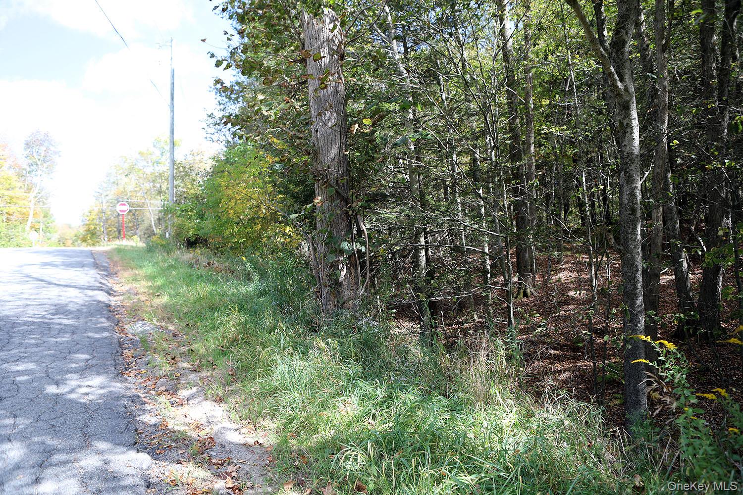 0 Rt-97 Hancock, NY 13783 - Photo 8 of 18 View of asphalt street