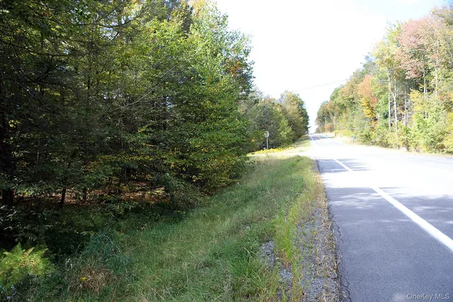 $39,000 | 0 Rt-97, Hancock, NY 13783