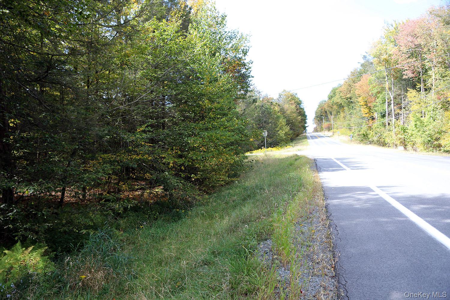 0 Rt-97 Hancock, NY 13783 - Photo 9 of 18 View of asphalt street with a wooded view