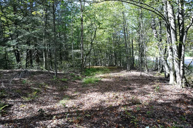 $39,000 | 0 Rt-97, Hancock, NY 13783