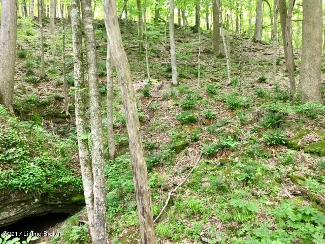 0 Mark Ridge Road Garfield, KY 40140 - Photo 28 of 43 30