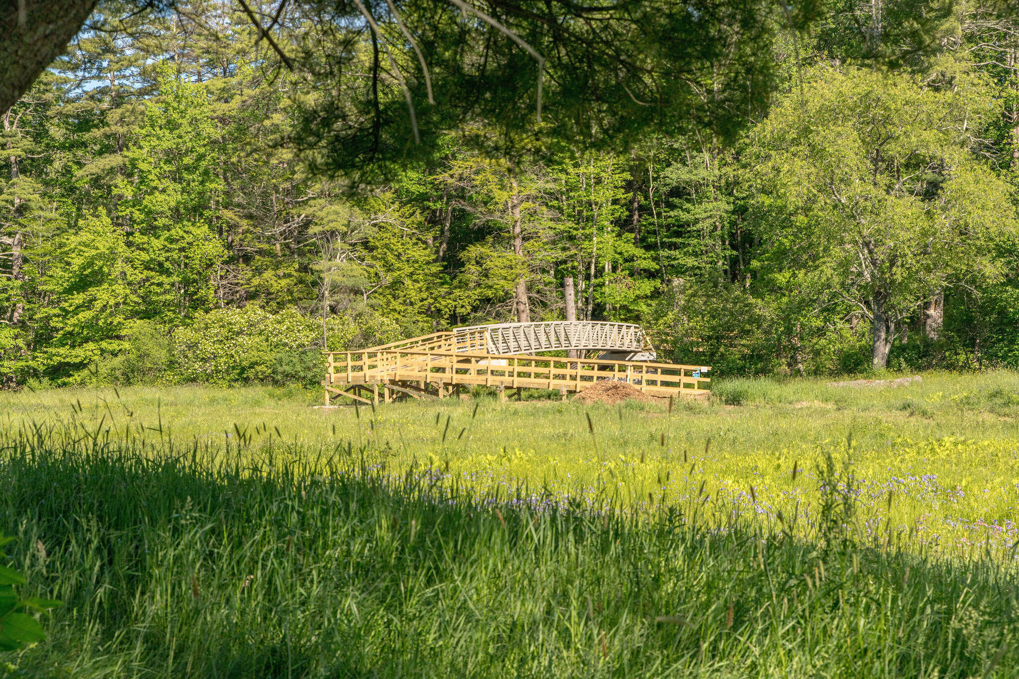 163 Owls Nest Road Portland, ME 04102 - Photo 44 of 48 StroudwaterJHR_PMorneau_HR_22 (1)