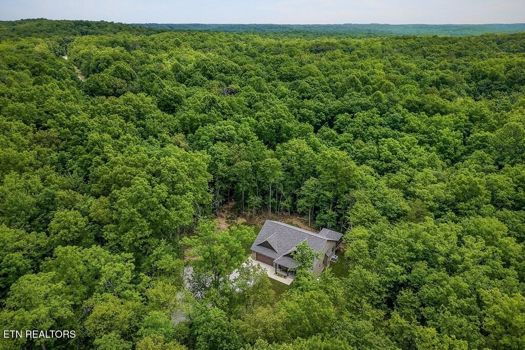 1507 East Overlook Road Monterey, TN 38574 - Photo 45 of 49 47