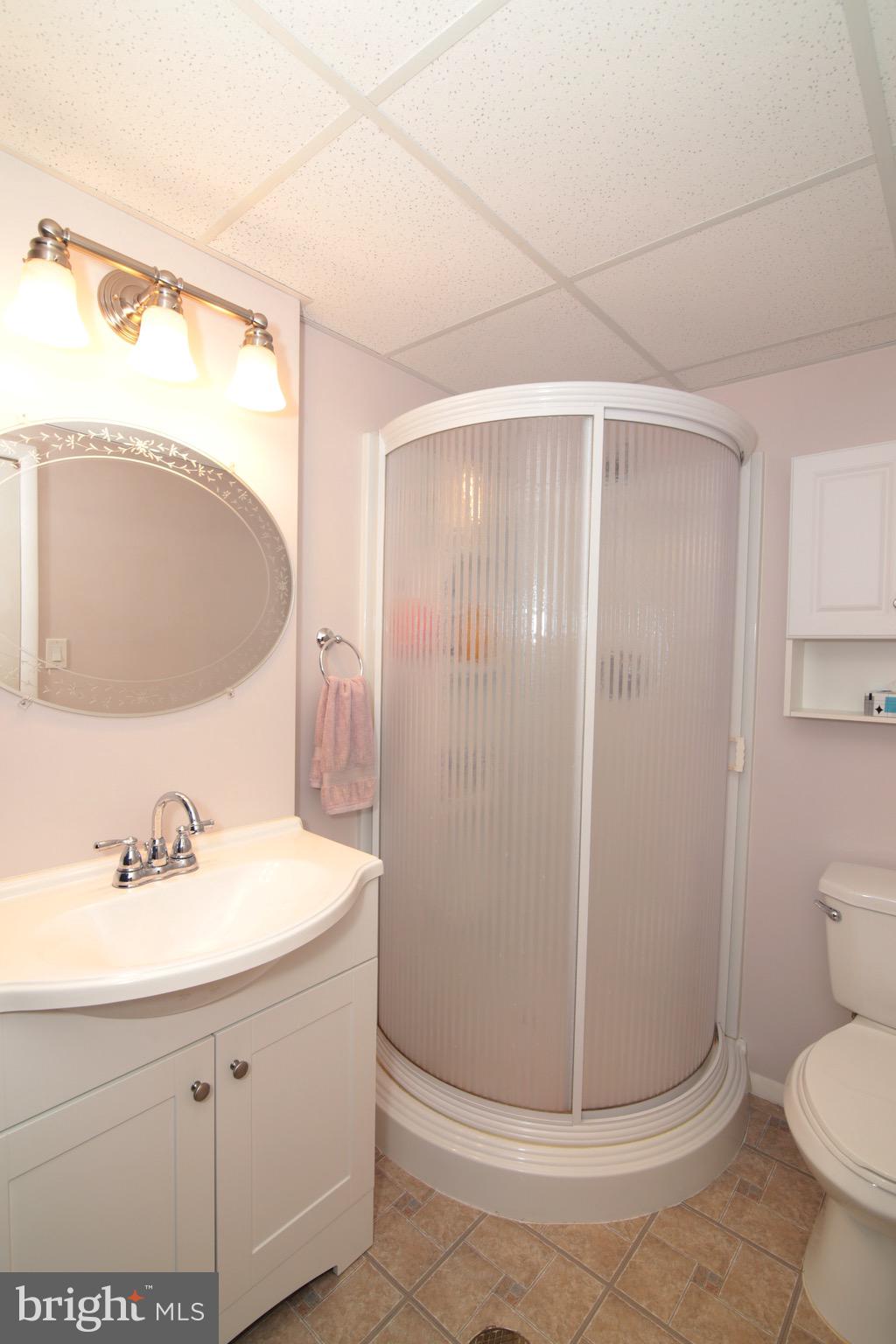 6501 Rivington Road Springfield, VA 22152 - Photo 26 of 30 Third Full Bath - Lower Level
