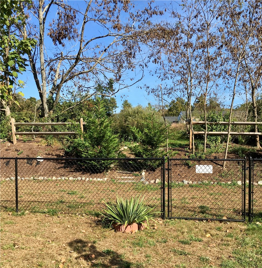 8 Wall Street Westerly, RI 02891 - Photo 35 of 40