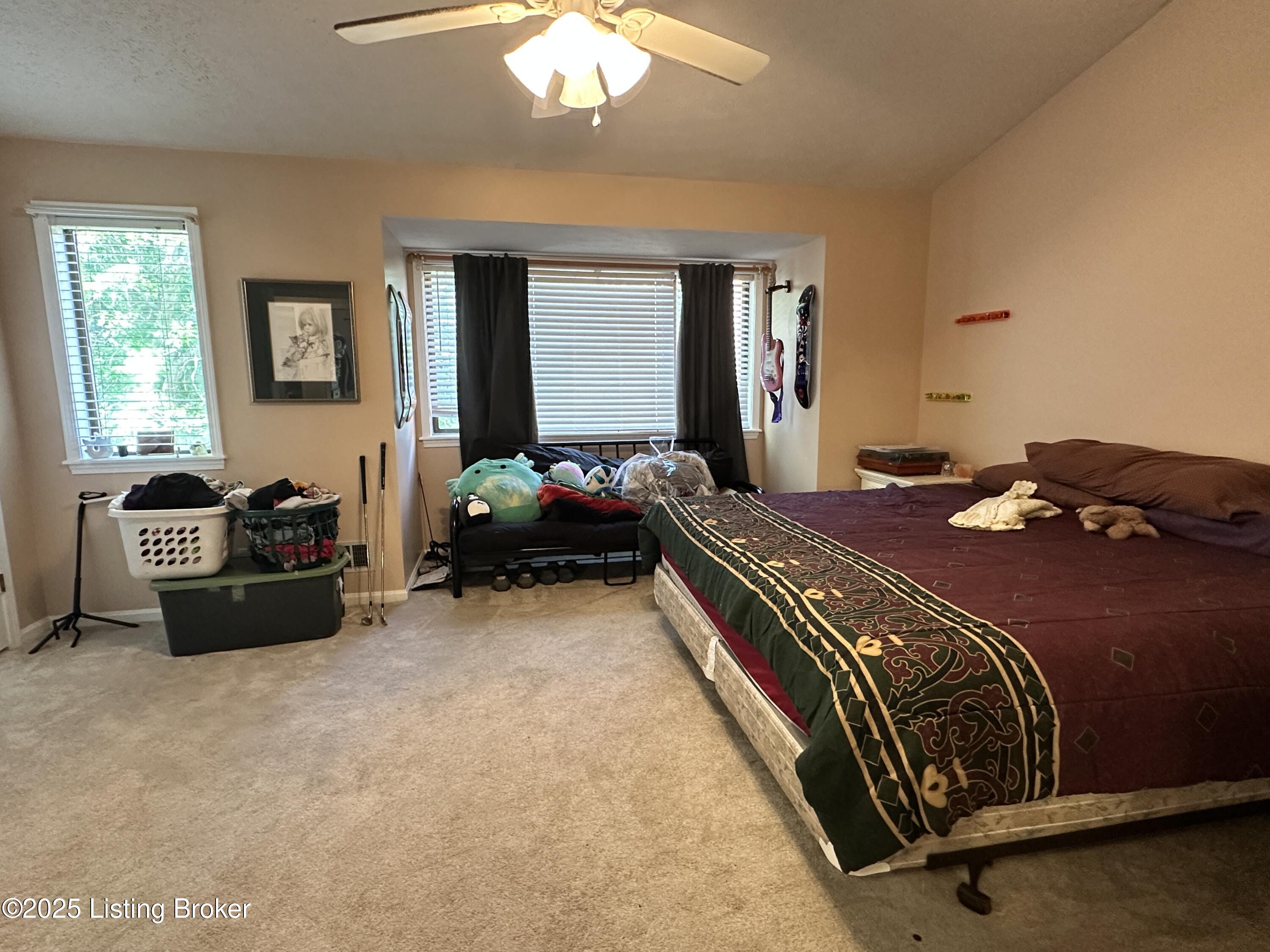 509 Piping Rock Road Brandenburg, KY 40108 - Photo 30 of 34 IMG_5068 (002)