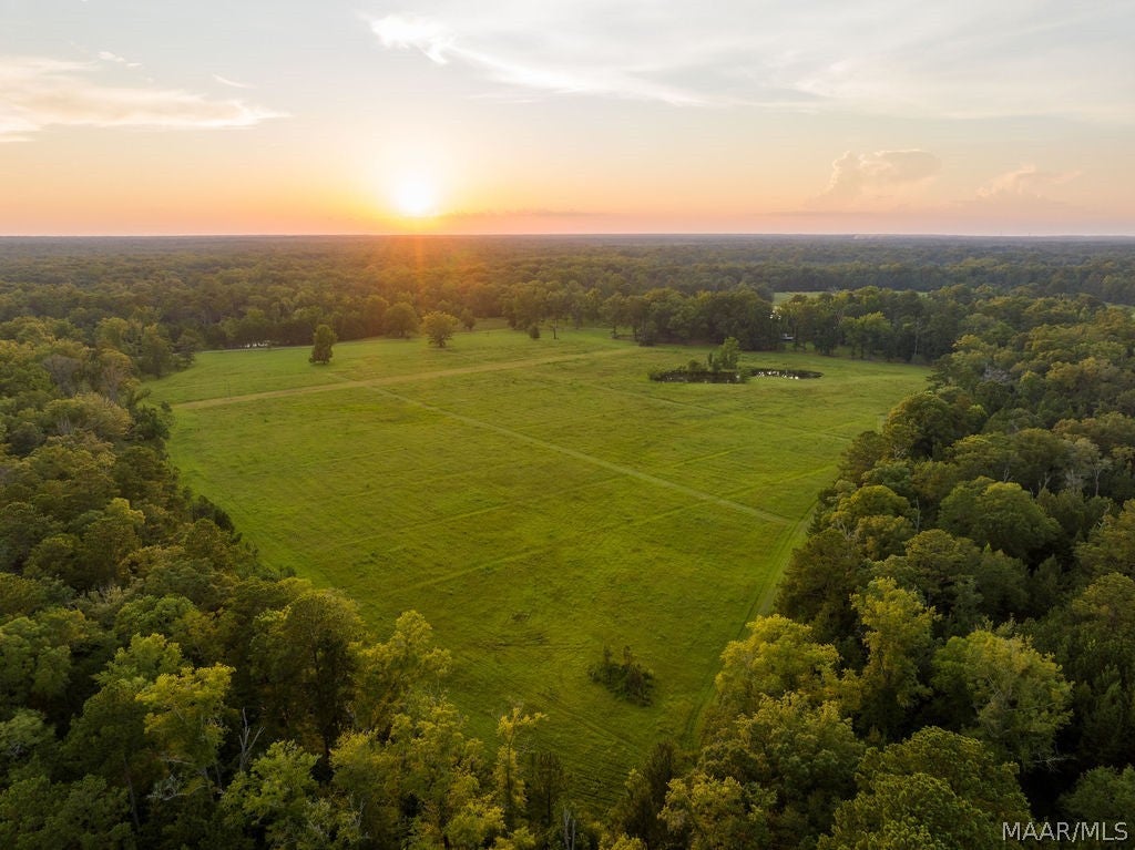0 Dykes Road Hurtsboro, AL 36860 - Photo 4 of 59 Gallery Image 4