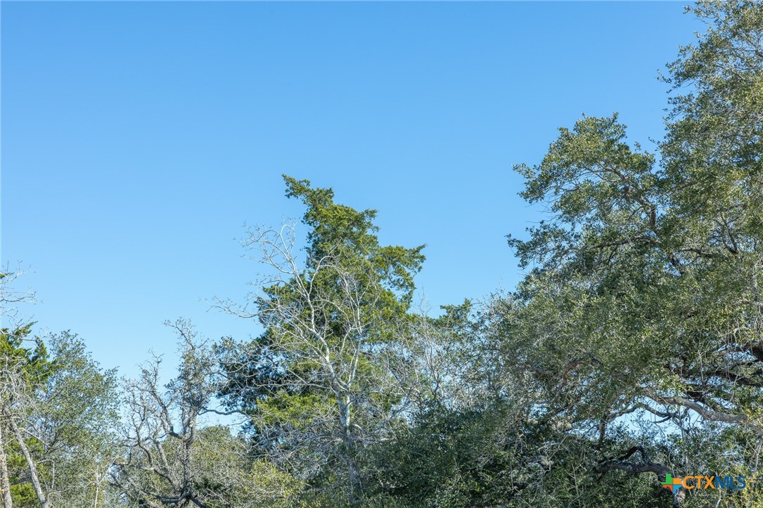 0 Garcitas Creek Ranch Road Inez, TX 77968 - Photo 4 of 17
