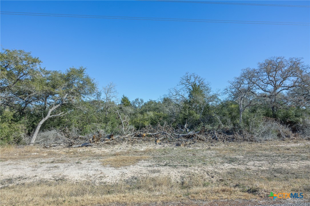 0 Garcitas Creek Ranch Road Inez, TX 77968 - Photo 5 of 17