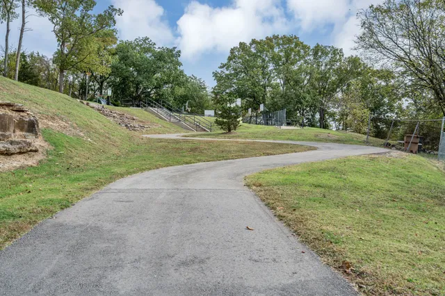 a view of a field with trees