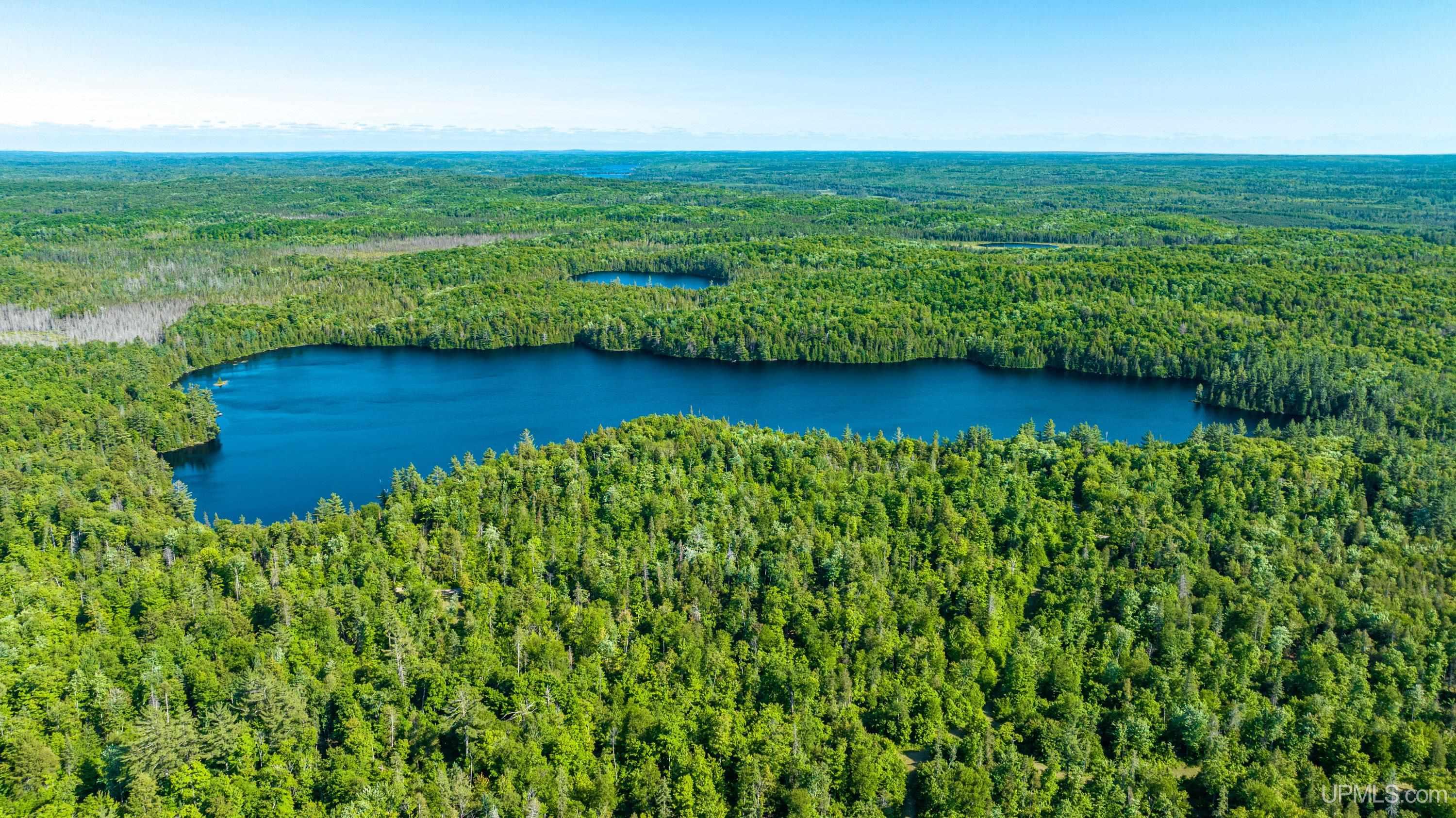Tbd Tbd Dommer Lake Road Michigamme, MI 49861 - Photo 17 of 25