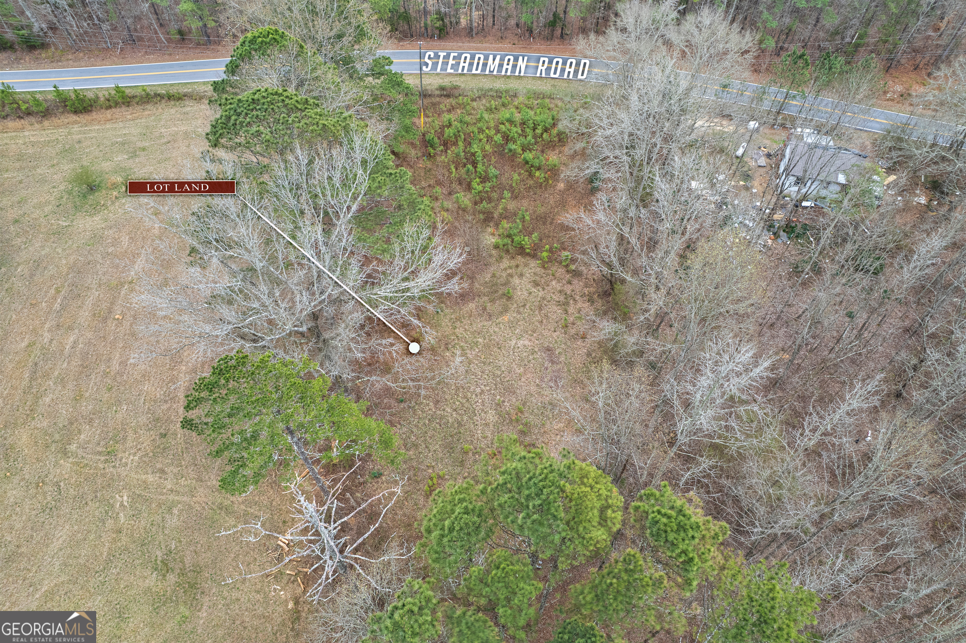 5534 Steadman Road Tallapoosa, GA 30176 - Photo 33 of 37