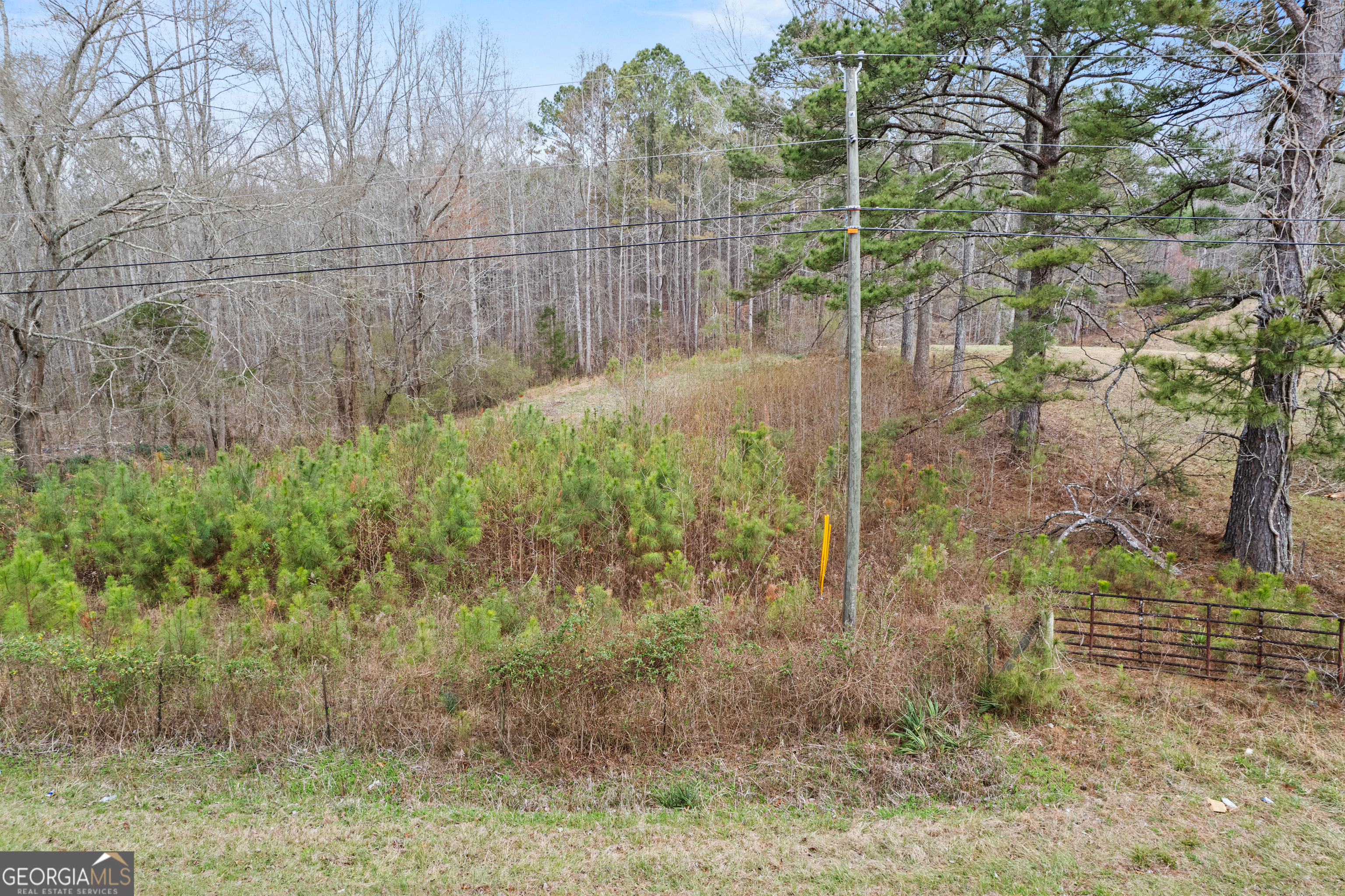 5534 Steadman Road Tallapoosa, GA 30176 - Photo 34 of 37