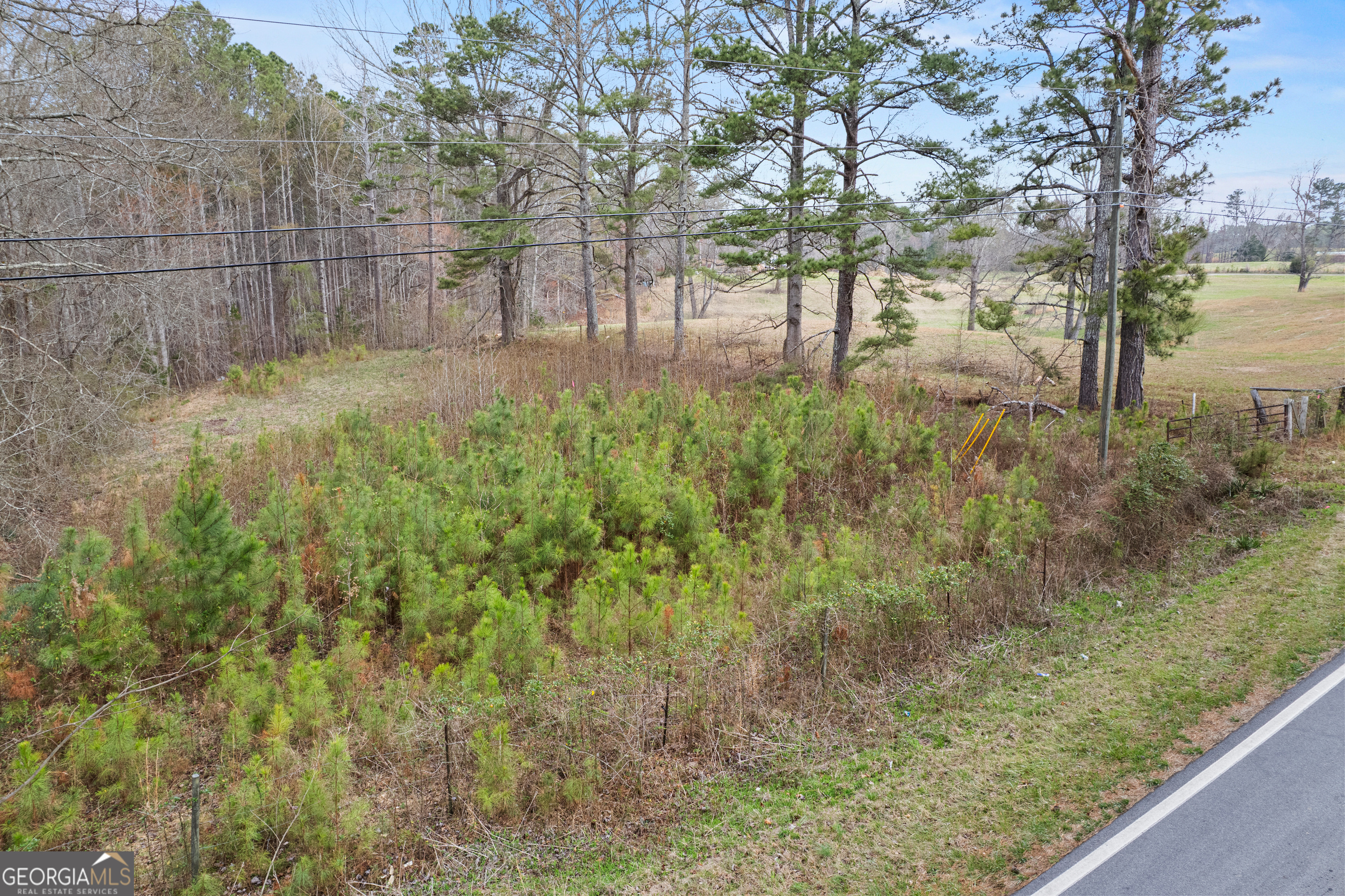 5534 Steadman Road Tallapoosa, GA 30176 - Photo 37 of 37