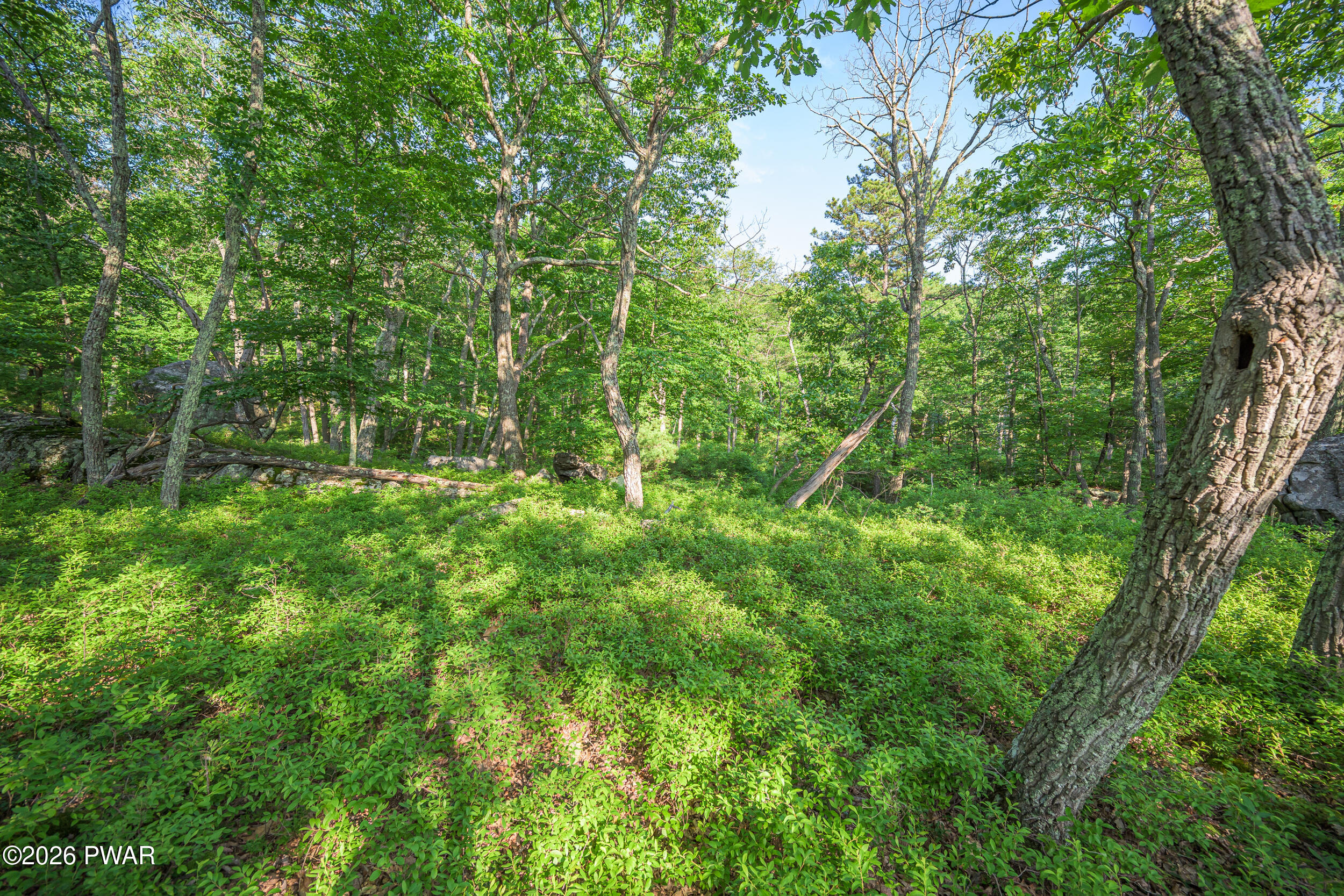 High Ridge Dingmans Ferry, PA 18328 - Photo 26 of 63