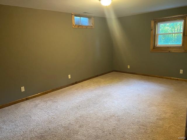 26235 Airport Road Dow, IL 62022 - Photo 21 of 33